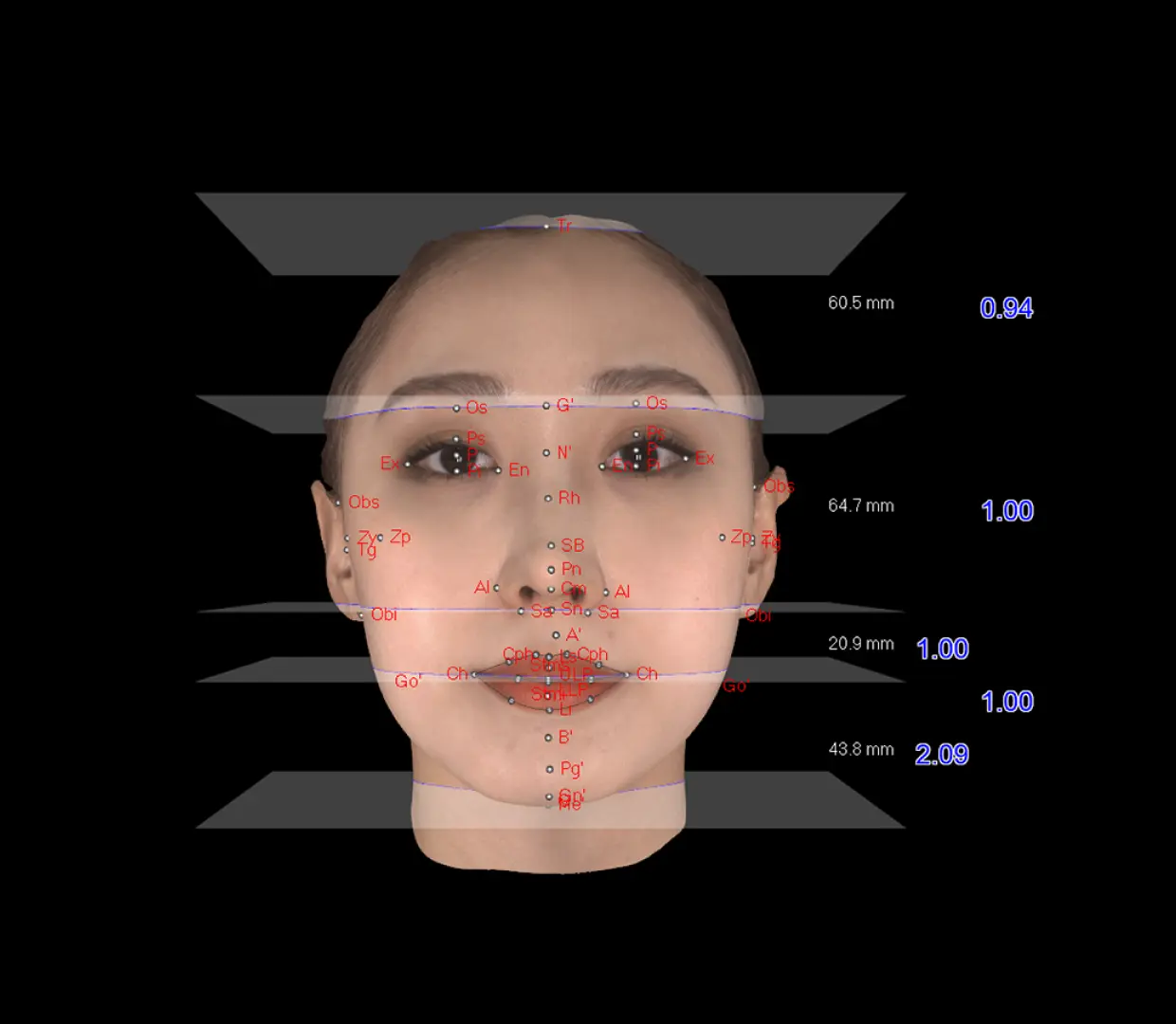 상안, 중안, 하안의 균형